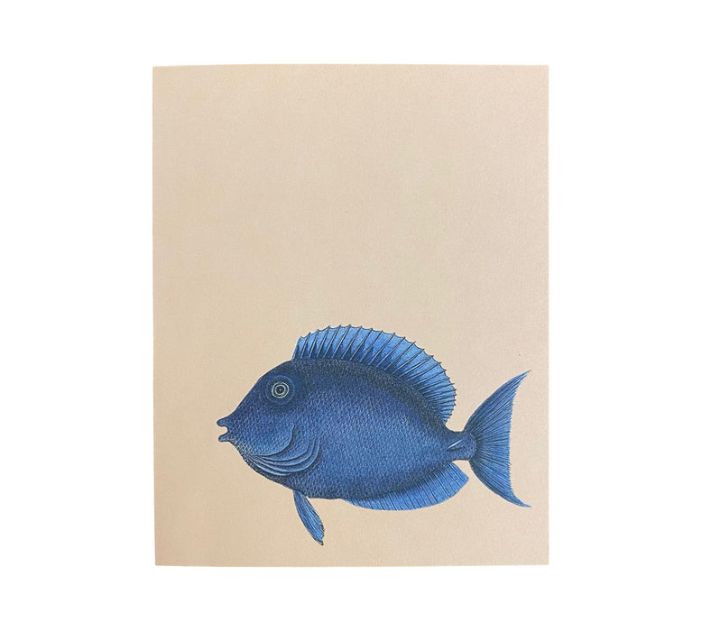 Mini Grußkarte - Blaufisch
